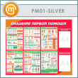 ����� ��������� ������ ������ � ������� � �������� ��������� (PM-01-SILVER)