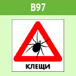 ���� ������, B97 (������, 200�200 ��)