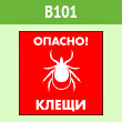 ���� �������! �����, B101 (������, 300�300 ��)