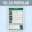 ����� ������������ ���������� �������� (VU-10-POPULAR)